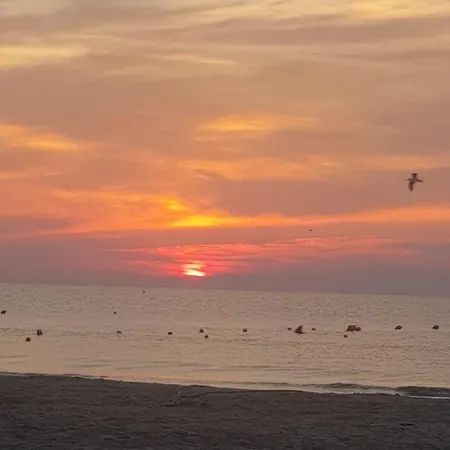 Distrikt Apartament Mamaia Nord